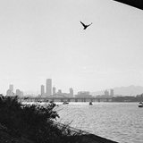 dailyPhoto3